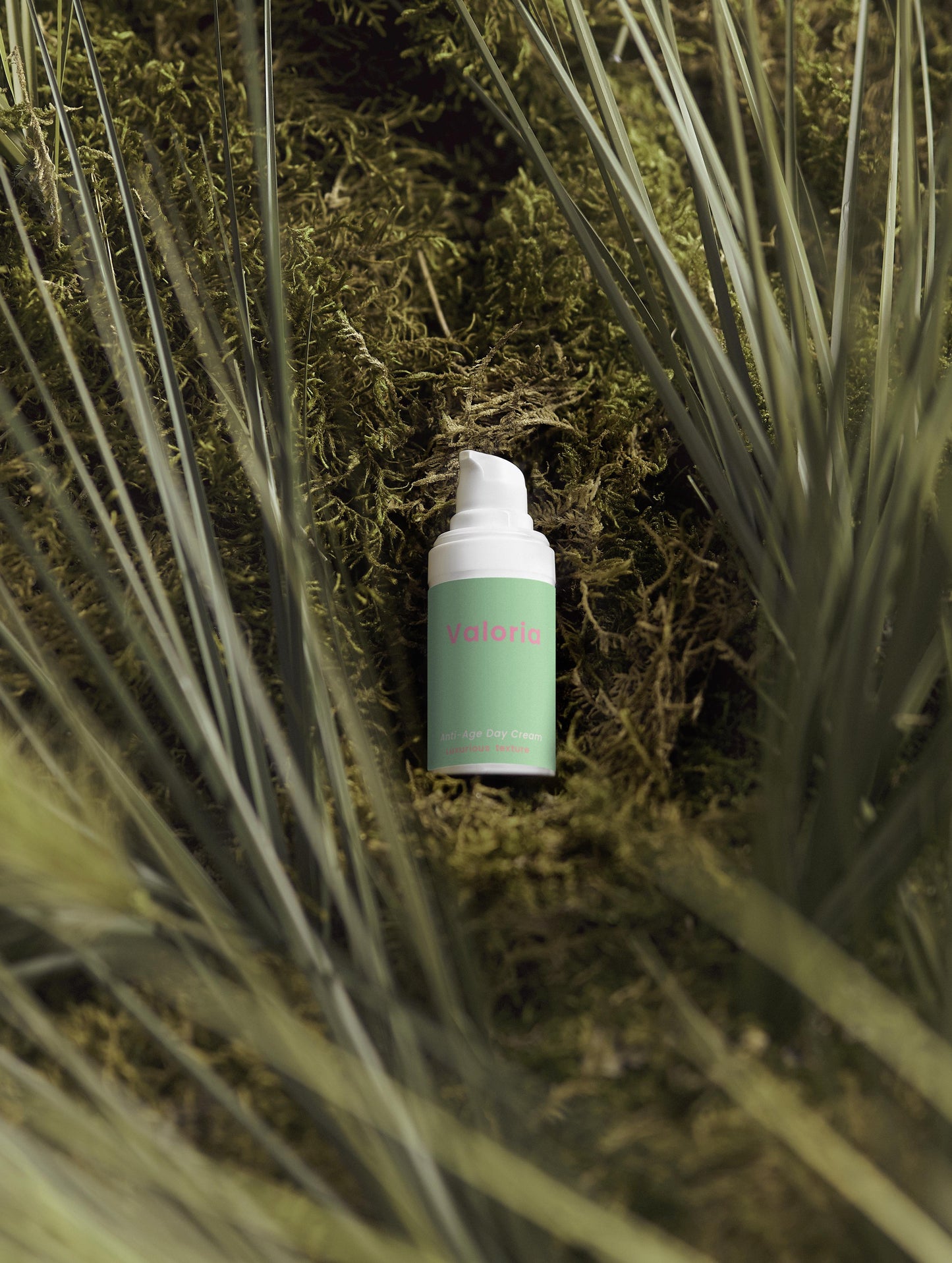 Veloria Timeless Elixir